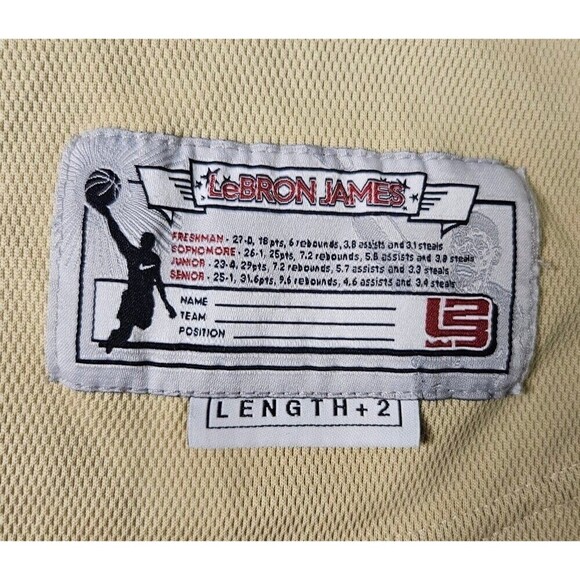 LeBron James L23 Irish Jersey Size XL +2 Length - Picture 5 of 5
